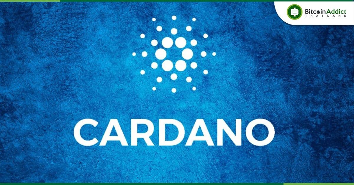 รายงาน: เจอ Bug บน Cardano โหนดหลุดการเชื่อมต่อ แต่กลับมาใช้งานได้ปกติแล้ว