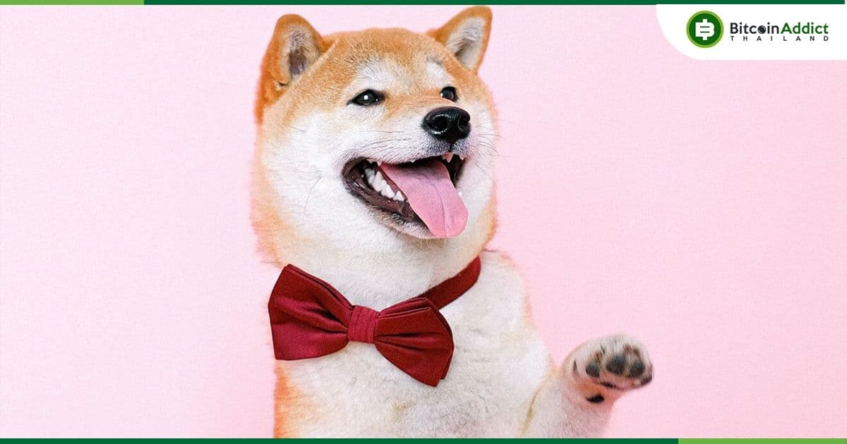 Dogecoin ยังคงห่างไกลจากระดับต่ำสุดตลอดกาลกว่า 78,000%