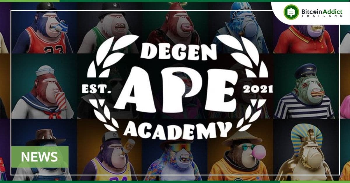 รายงานการวิเคราะห์ NFT โดย Banksea Finance Degenerate Ape Academy