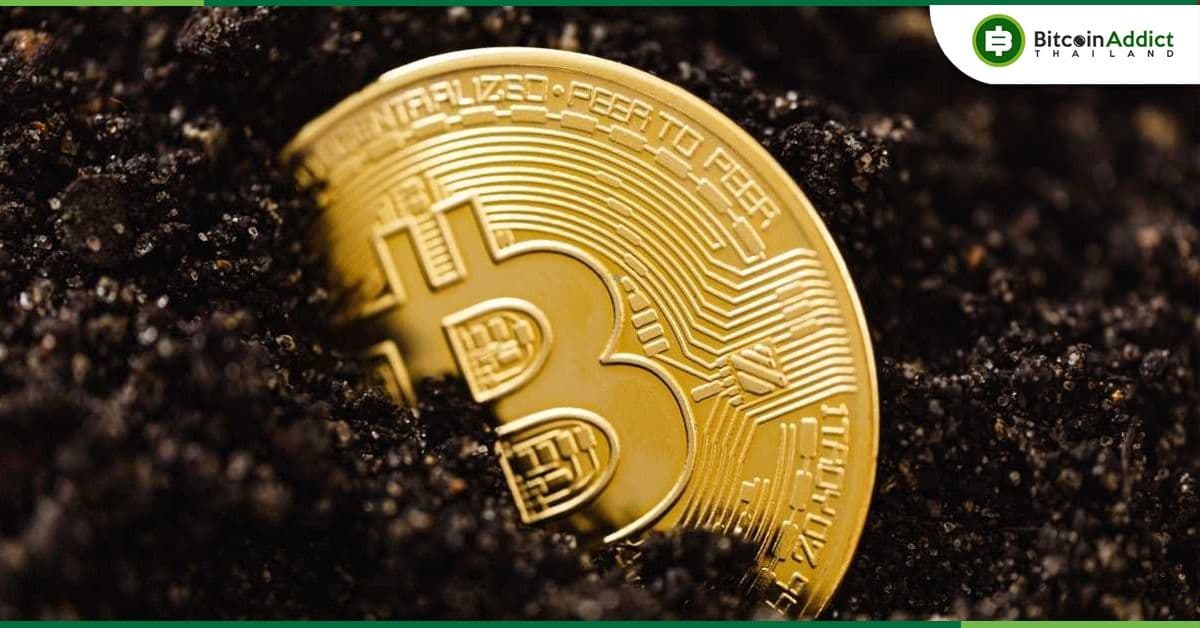 นักขุด Bitcoin ทำกำไรเพิ่ม 68.6% หลังเผชิญตลาดขาลงมาหลายเดือน