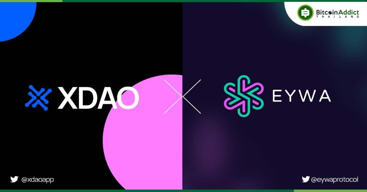XDAO และ EYWA จับมือเป็นพันธมิตรและโครงการ Airdrop ชุมชน