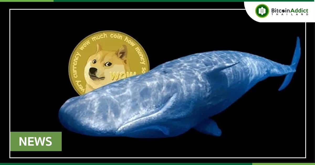 ธุรกรรมของ DOGE เพิ่มขึ้นสูงสุดในรอบ 3 เดือน คาด มาจากการซื้อ Twitter ของ Elon Musk