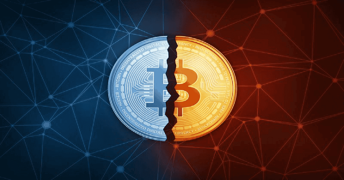 "อย่าคาดหวังว่าราคา Bitcoin จะกลับมาหลังจาก halving" Willy Woo นักวิเคราะห์ Crypto เตือน