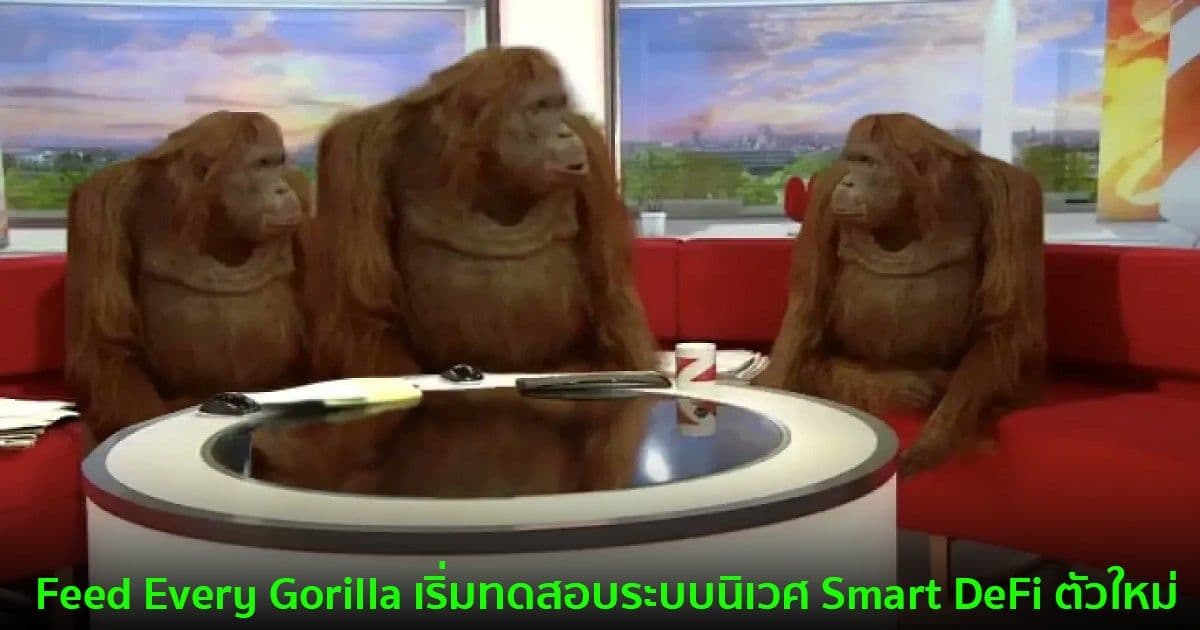 Feed Every Gorilla ได้เริ่มทดสอบระบบนิเวศ  Smart DeFi ตัวใหม่