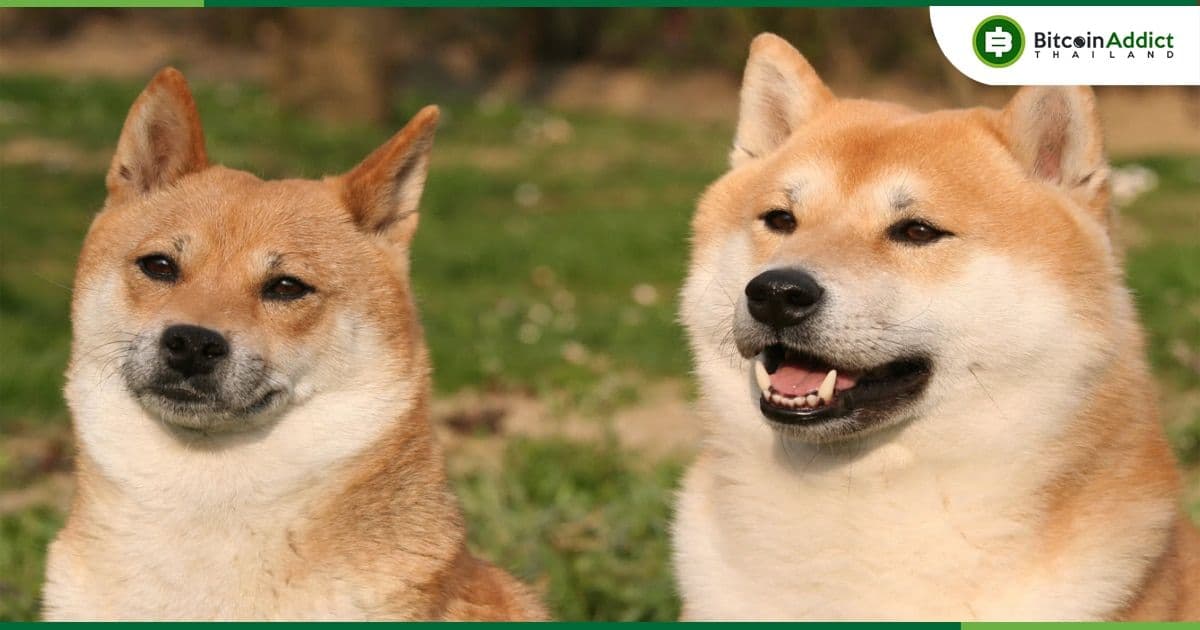 นักพัฒนา Shiba Inu เผยว่า WEF ต้องการทำงานร่วมกับโครงการเพื่อ 'ช่วยกำหนด' นโยบายระดับโลกของ Metaverse