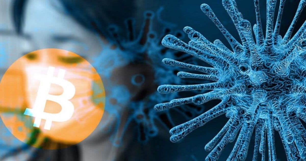 คุณสามารถติดตามการแพร่กระจายของ Covid-19 โดยเทียบกับราคา Bitcoin ได้แล้ว