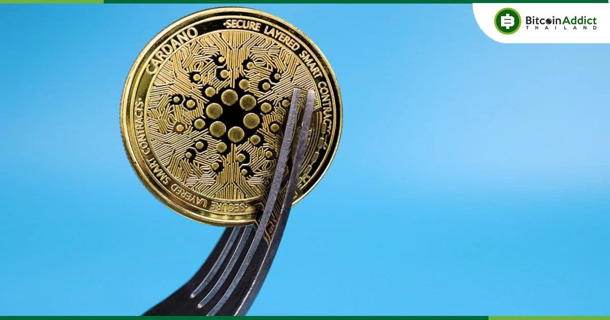 Cardano เปิดตัว 'Node 9.0' ปูทาง Chang Hard Fork ที่กำลังจะเกิดขึ้น