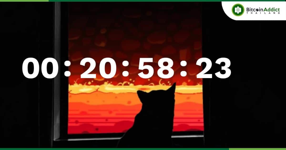 ทีม Shiba Inu เปิดตัว "การนับถอยหลัง" บนเว็บไซต์ ว่าแต่มันหมายถึงอะไรกันนะ ?