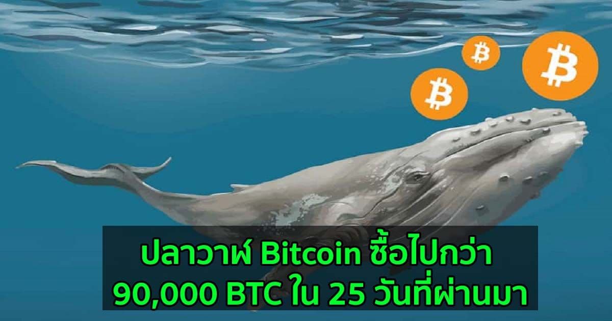 ปลาวาฬ Bitcoin ซื้อไปกว่า 90,000 BTC ใน 25 วันที่ผ่านมา