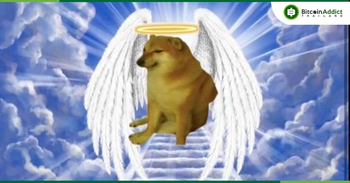 Dogecoin Foundation ร่วมไว้อาลัยการจากไปของ น้อง Ball Ball ชิบะอินุ เจ้าของมีมชื่อดัง