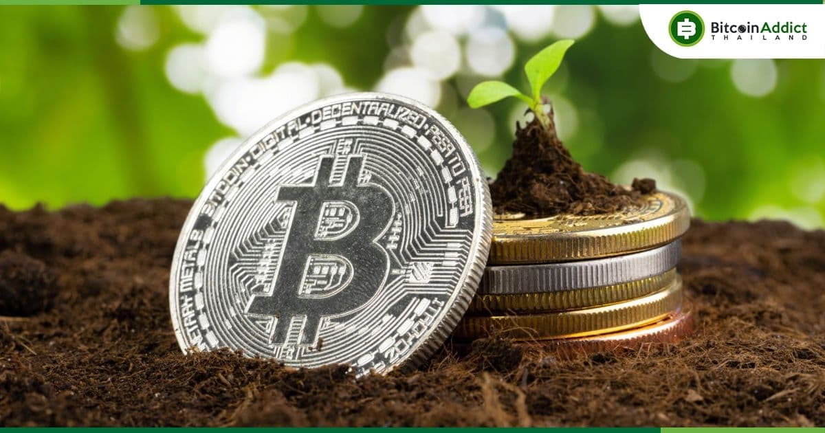 การบริโภคไฟฟ้าของ Crypto จะเพิ่มขึ้นมากกว่า 30% ภายในปี 2026 รวมถึง AI