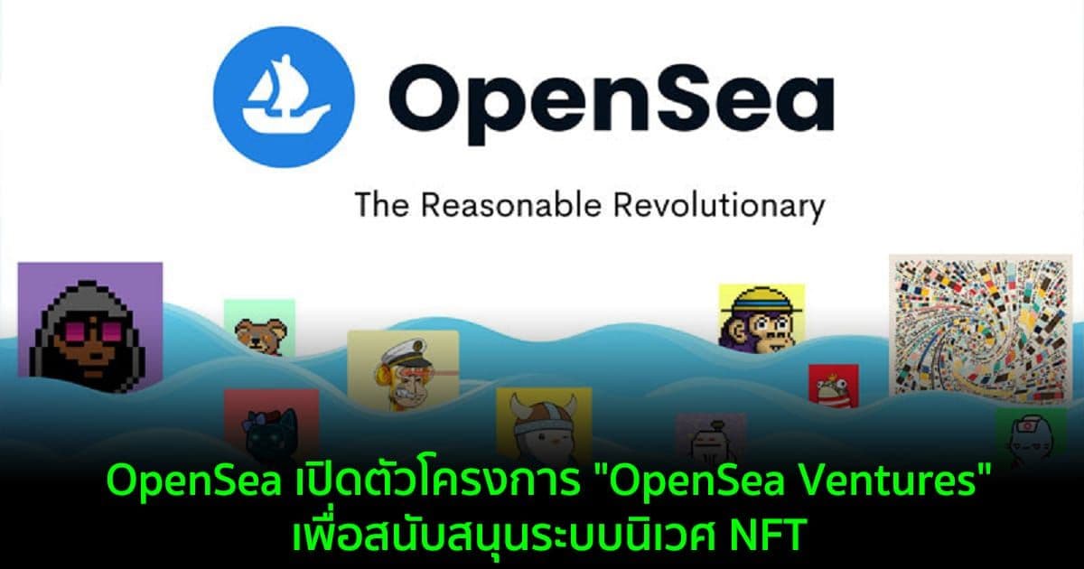 OpenSea เปิดตัวโครงการ "OpenSea Ventures" เพื่อสนับสนุนระบบนิเวศ NFT