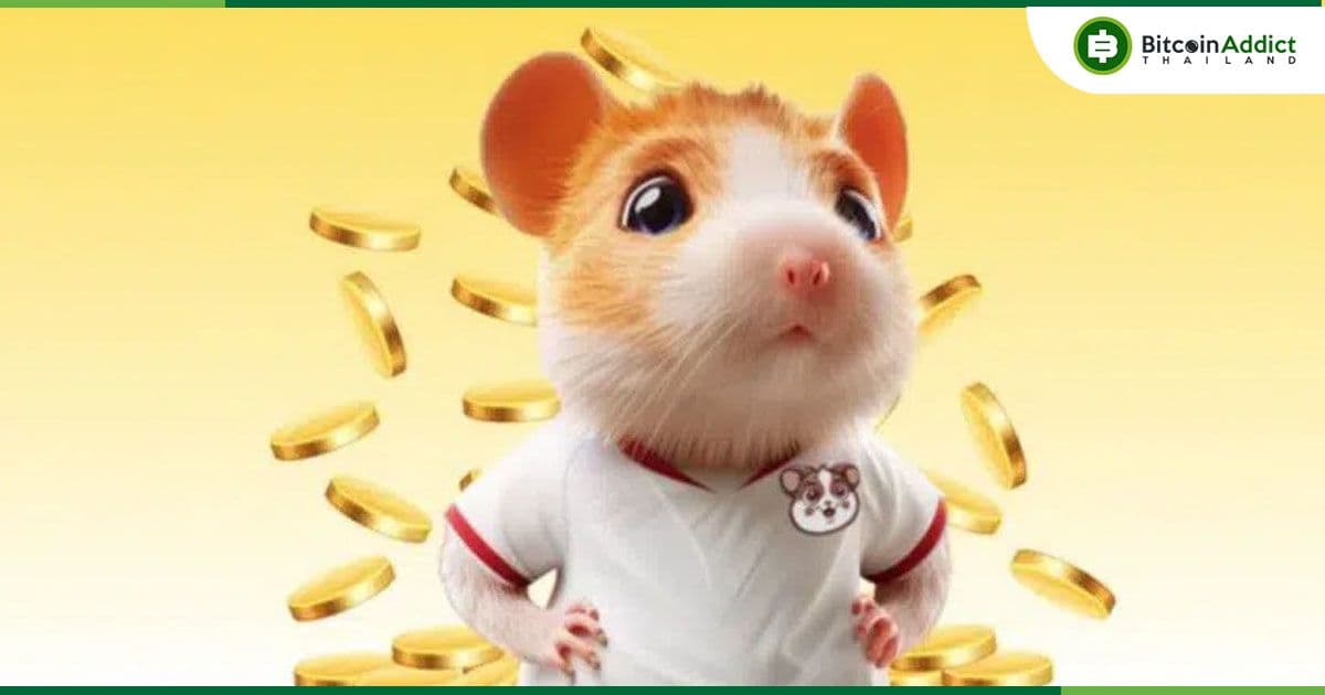 Hamster Kombat เผยแผนงานปี 2025 พร้อมแผนซื้อคืนและเผาโทเค็น