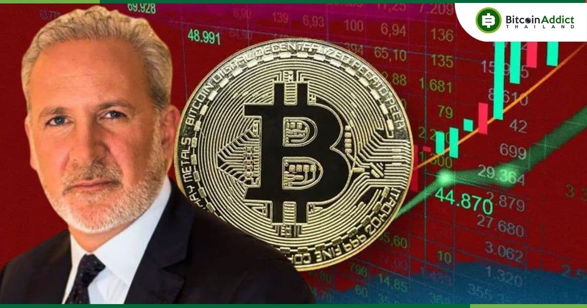 Peter Schiff นักด่า Bitcoin ในตำนาน เชื่อว่า Bitcoin อยู่ในตลาดหมีมาหลายปีแล้ว แต่สาวกกลับไม่ตระหนัก