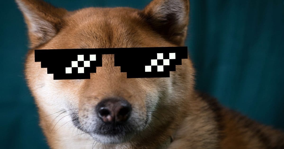 เบื้องหลังความบ้าคลั่งของ "Dogecoin Challenge" จาก TikTok ส่งให้โวลลุ่มเทรดเพิ่มวันเดียว 600%