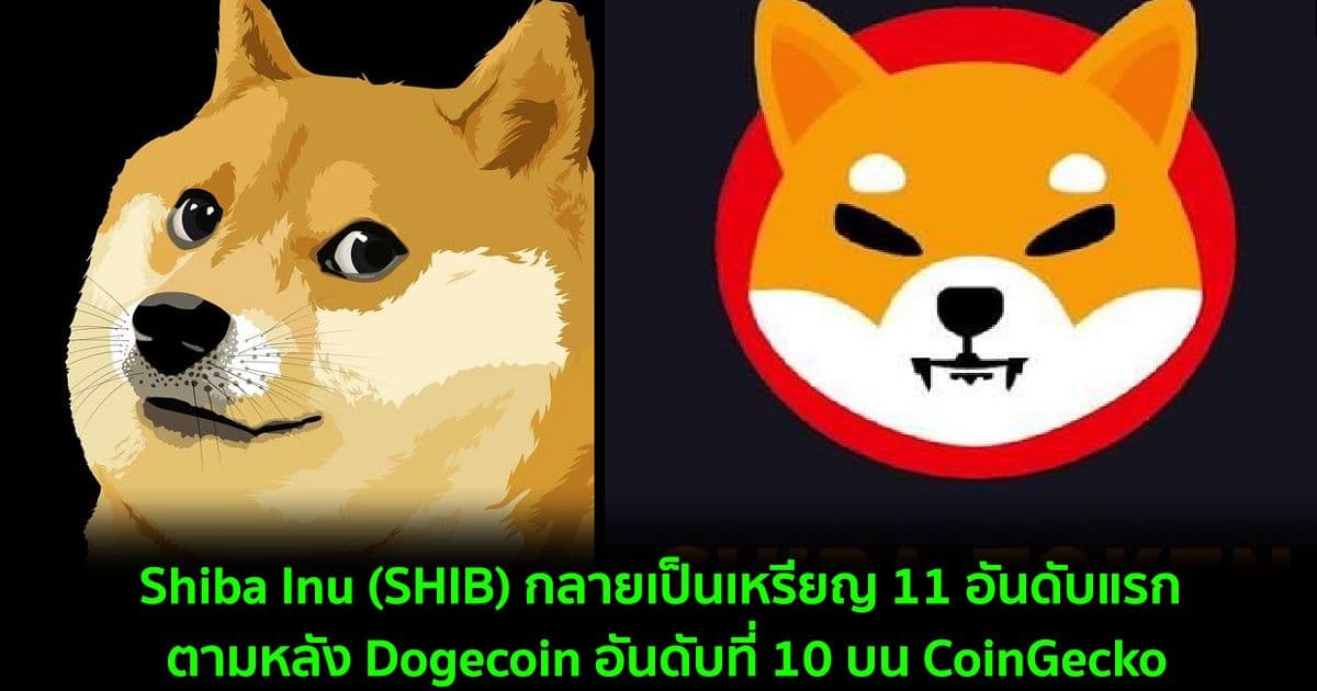 Shiba Inu (SHIB) กลายเป็นเหรียญ 11 อันดับแรก ตามหลัง Dogecoin อันดับที่ 10 บน CoinGecko