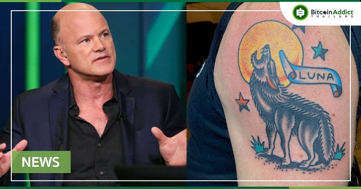 Mike Novogratz แห่ง Galaxy พูดถึงการล่มสลายของ Terra และ UST