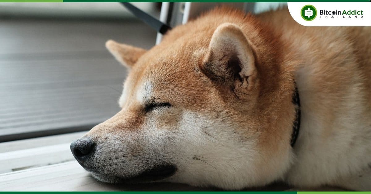 Dogecoin ถูก Polkadot แซง และหลุดจากอันดับที่ 10 ในการจัดอันดับ Crypto