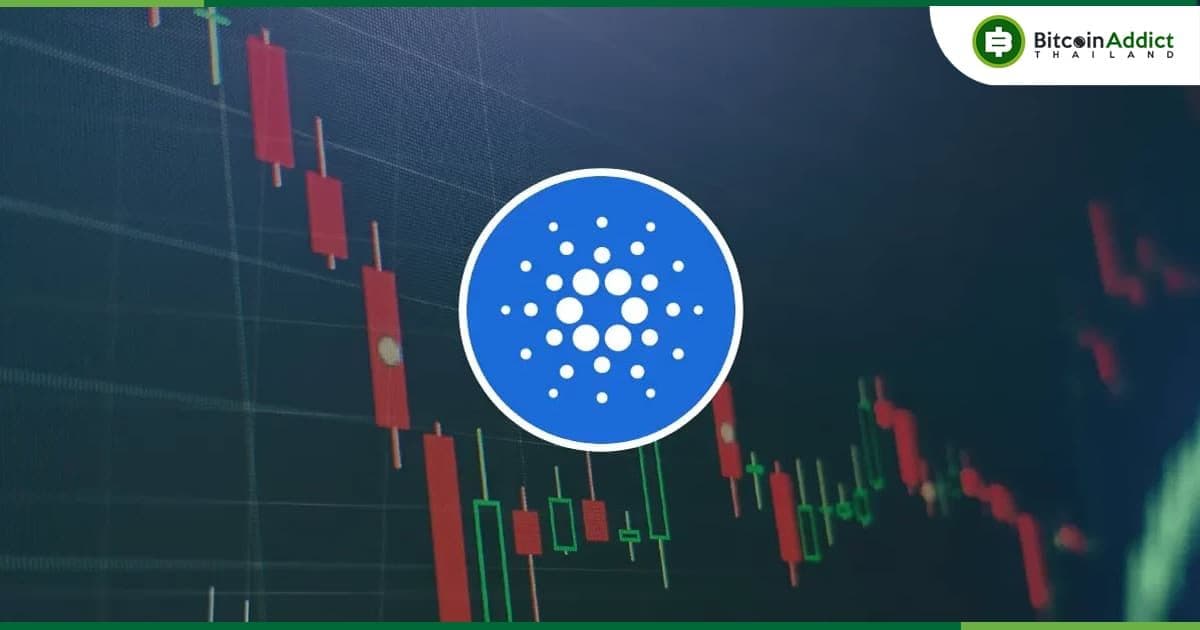 Vasil Hard Fork ประสบความสำเร็จบน Cardno Testnet