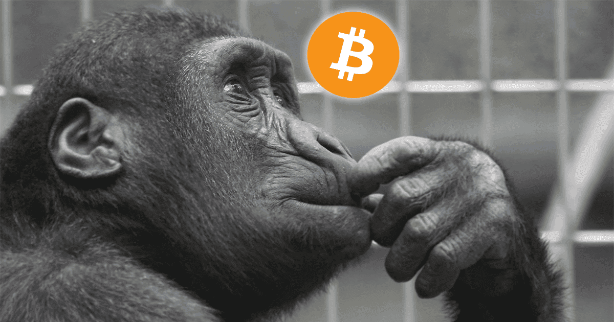 เกือบ 65% จากคน 12,000 คน คิดว่า ราคา Bitcoin ยังต่ำเกินไป