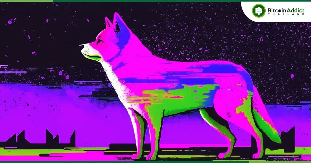Shiba Inu ออกคำเตือนแก่ชุมชน ระวังการหลอกให้เชื่อมต่อกระเป๋าเงินจากเว็บไซต์ปลอม