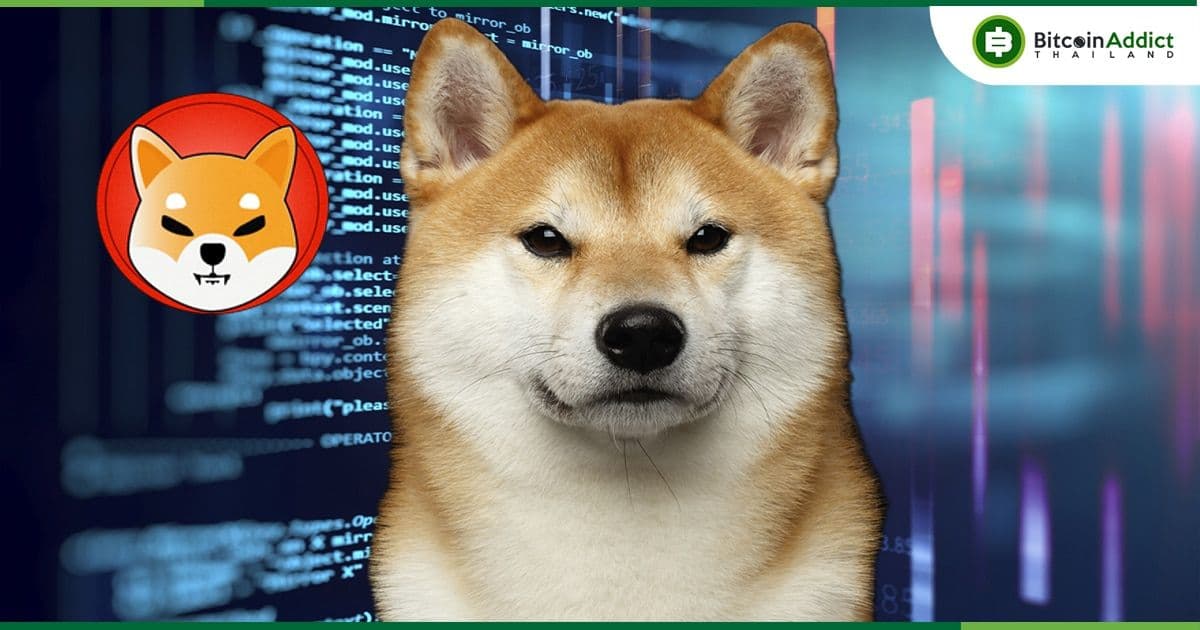 Shiba Inu วางแผนจะเปิดตัว Stablecoin , Reward Token และการ์ดเกมสะสม