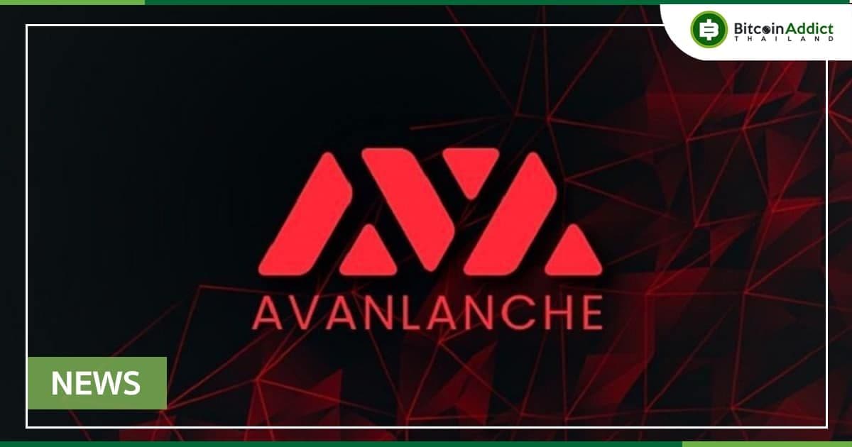 Staking Rate ของเครือข่าย Avalanche พุ่งสูงถึง 50%