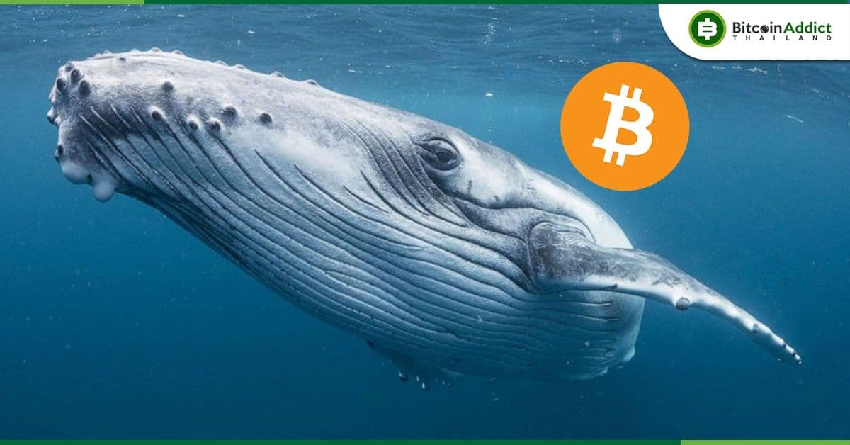 ตรวจพบ Bitcoin กว่า 6,000 เหรียญถูกโอนออกจาก Binance รวดเดียว