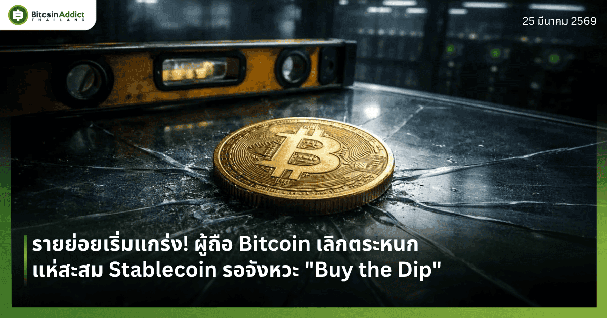 รายย่อยเริ่มแกร่ง! ผู้ถือ Bitcoin เลิกตระหนก แห่สะสม Stablecoin รอจังหวะ "Buy the Dip"
