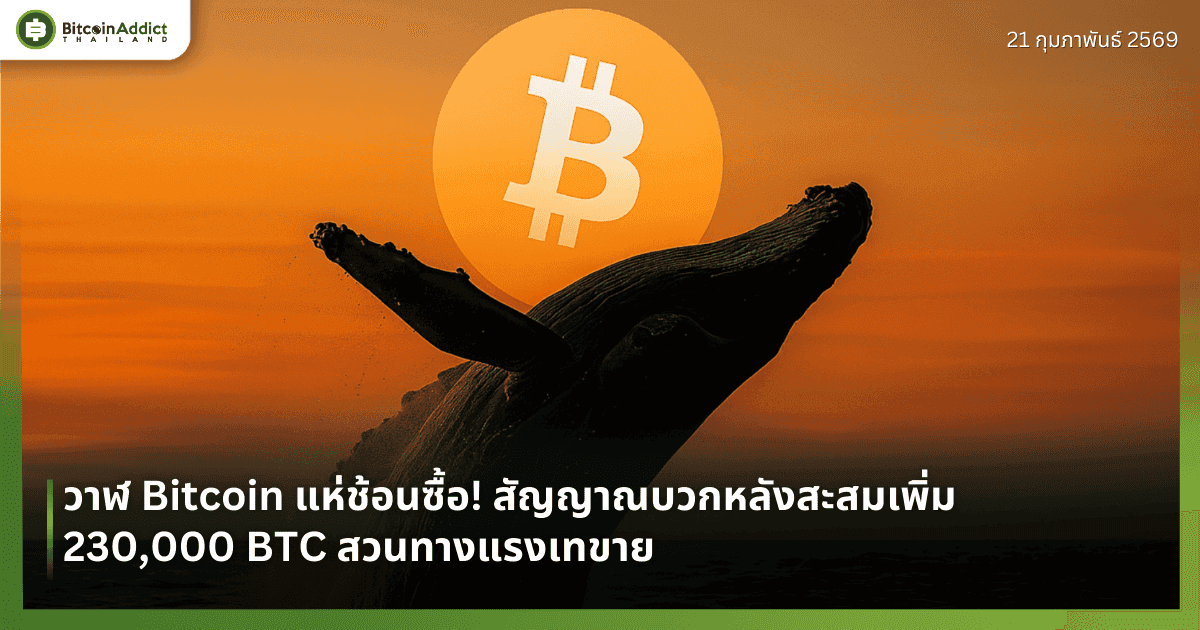วาฬ Bitcoin แห่ช้อนซื้อ! สัญญาณบวกหลังสะสมเพิ่ม 230,000 BTC สวนทางแรงเทขาย