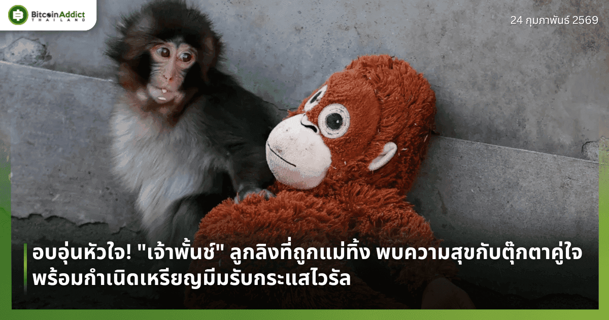อบอุ่นหัวใจ! "เจ้าพั้นช์" ลูกลิงที่ถูกแม่ทิ้ง พบความสุขกับตุ๊กตาคู่ใจ พร้อมกำเนิดเหรียญมีมรับกระแสไวรัล
