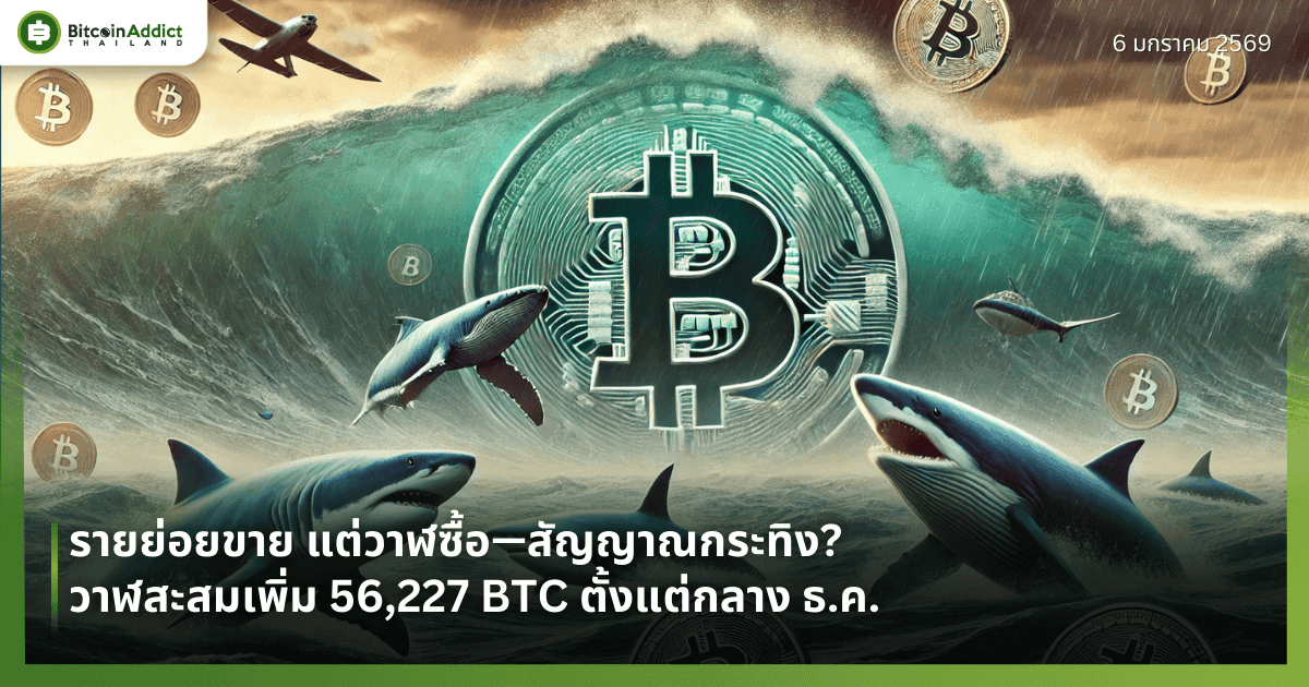 รายย่อยขาย แต่วาฬซื้อ—สัญญาณกระทิง? วาฬสะสมเพิ่ม 56,227 BTC ตั้งแต่กลาง ธ.ค.