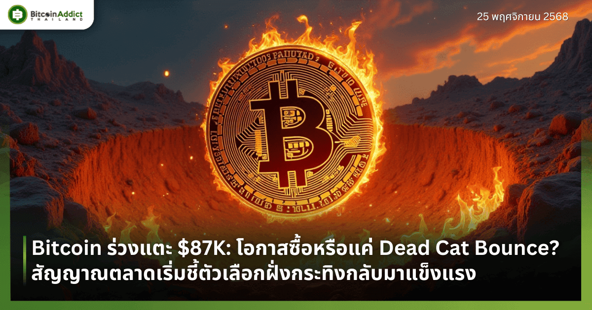 Bitcoin ร่วงแตะ $87K: โอกาสเข้าซื้อหรือแค่ Dead Cat Bounce? สัญญาณตลาดเริ่มชี้ตัวเลือกฝั่งกระทิงกลับมาแข็งแรง