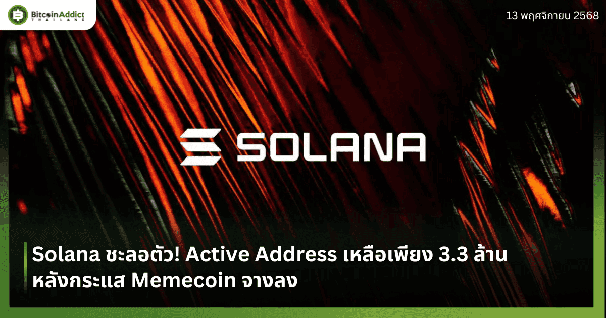 Solana ชะลอตัว! Active Address เหลือเพียง 3.3 ล้าน หลังกระแส Memecoin จางลง