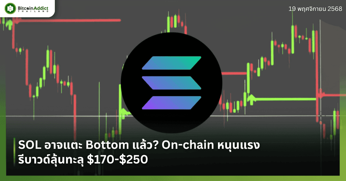 SOL อาจแตะ Bottom แล้ว? On-chain หนุนแรง รีบาวด์ลุ้นทะลุ $170-$250