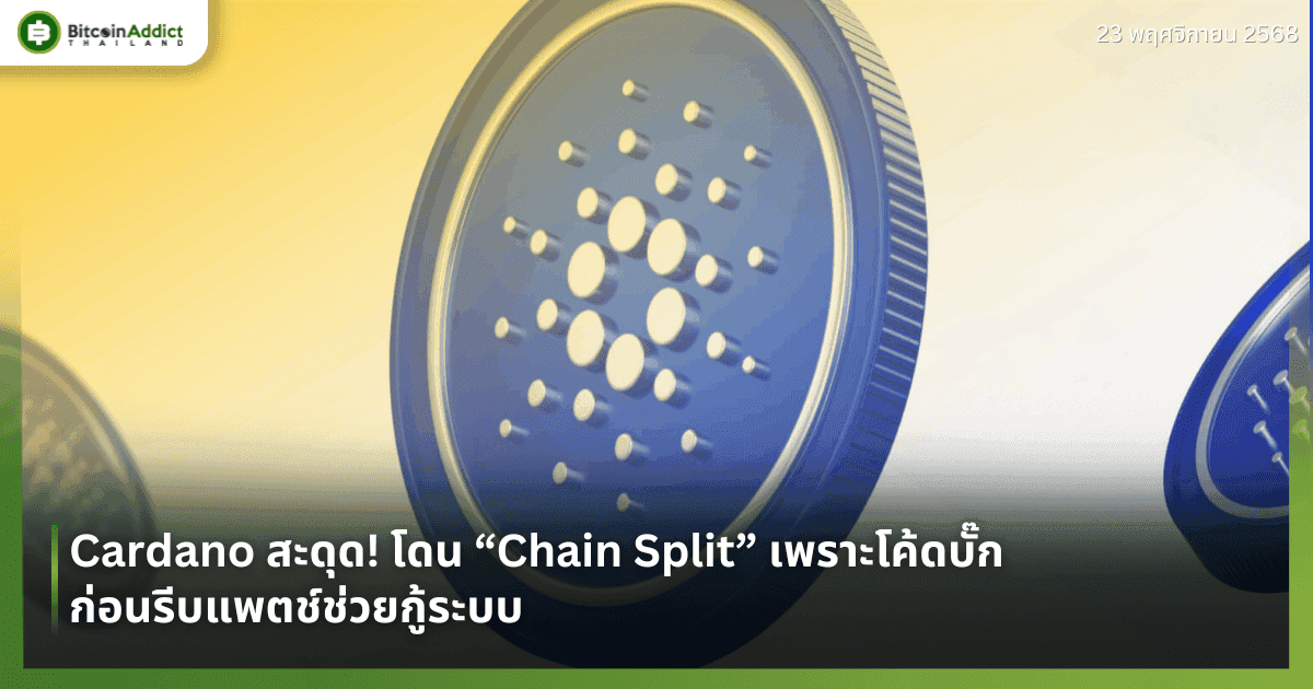 Cardano สะดุด! โดน “Chain Split” เพราะโค้ดบั๊ก ก่อนรีบแพตช์ช่วยกู้ระบบ