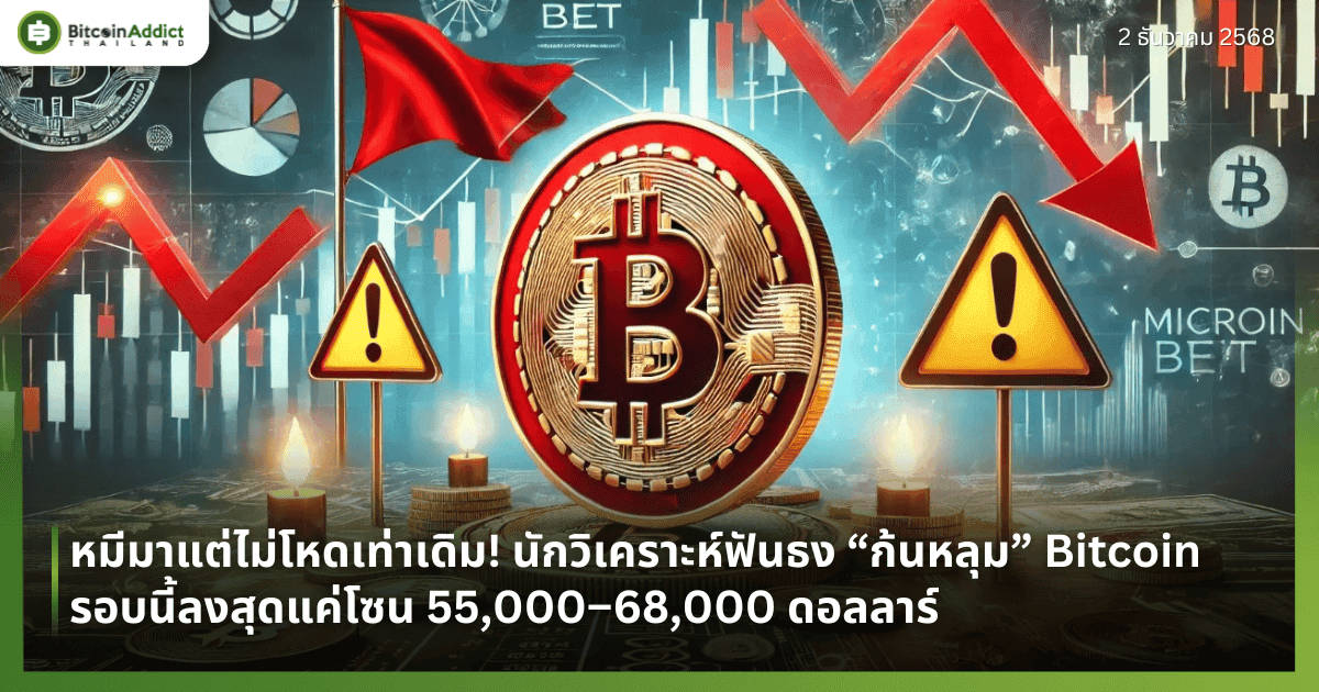 หมีมาแต่ไม่โหดเท่าเดิม! นักวิเคราะห์ฟันธง “ก้นหลุม” Bitcoin รอบนี้ลงสุดแค่โซน 55,000–68,000 ดอลลาร์