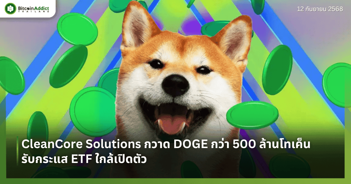 CleanCore Solutions กวาด DOGE กว่า 500 ล้านโทเค็น รับกระแส ETF ใกล้เปิดตัว