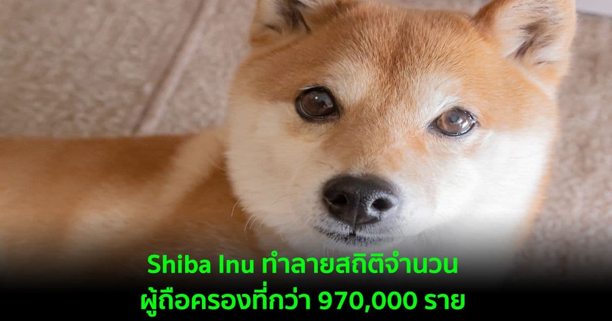 Shiba Inu ทำลายสถิติจำนวนผู้ถือครองที่กว่า 970,000 ราย