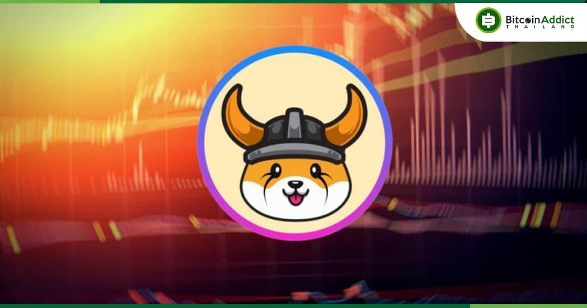 Floki Inu เตือนระวังโทเค็นปลอมบนบล็อคเชน Solana และ Base