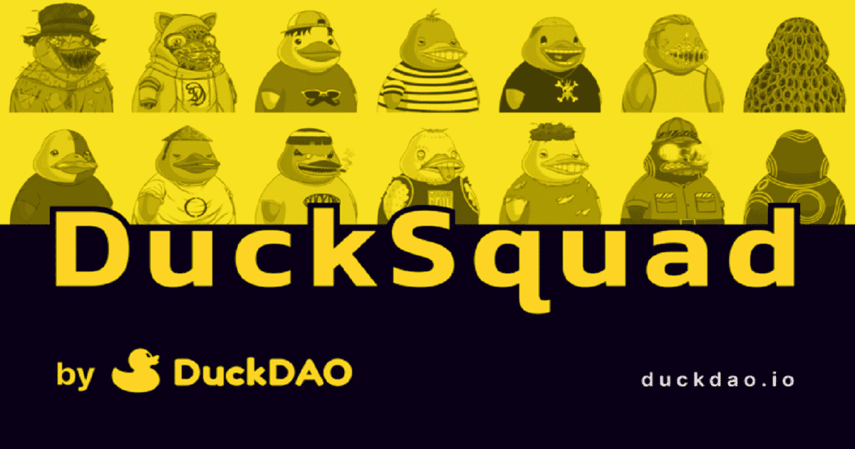 DuckSquad : Decentralised Venture Capital NFT แห่งแรก เตรียมเปิดตัวบน Only1