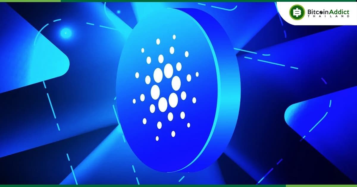 Cardano เสี่ยงต่อ 'การรวมศูนย์อย่างมาก' : นักวิเคราะห์ เตือน