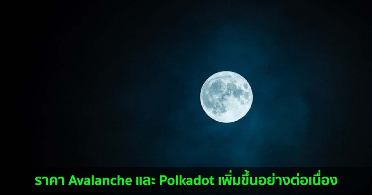 ราคา Avalanche และ Polkadot  เพิ่มขึ้นอย่างต่อเนื่อง