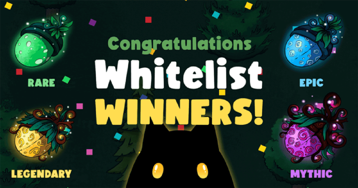 ประกาศรายชื่อผู้ชนะ Whitelist ของ Chumbi Valley NFT