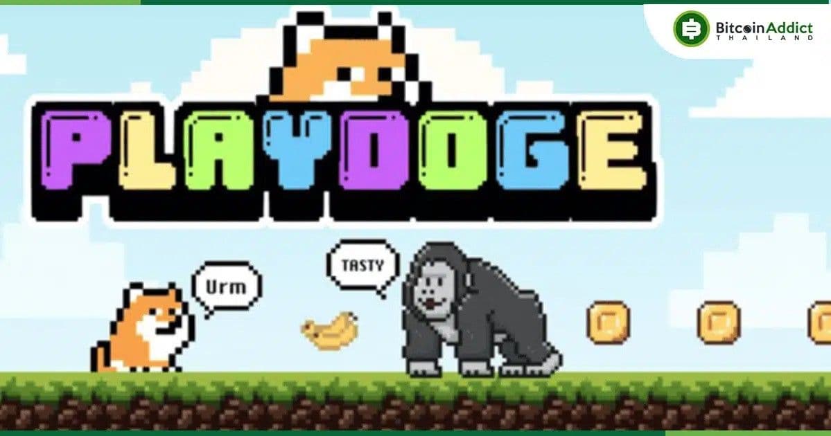 PlayDoge สัปดาห์สุดท้ายของ Presale โปรเจกต์ P2E ถูกใจสายเกม