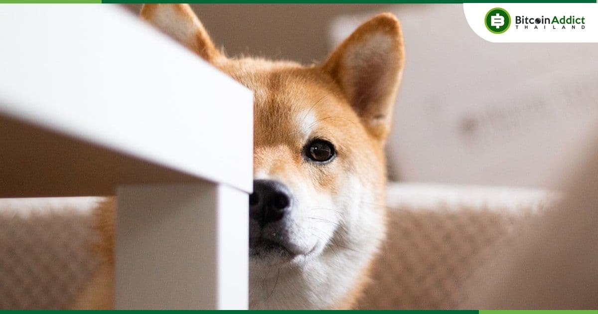 ชุมชน Shiba Inu เจอกับดราม่าเรื่องการก็อป โค้ด , Chain ID จากโครงการอื่นของ Shibarium