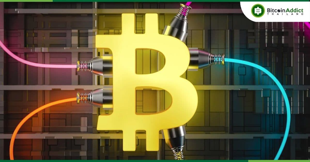 เหมืองขุด Bitcoin รายใหญ่ที่สุดในโลก ไม่ได้เทขาย BTC เลยในเดือนมิถุนายน