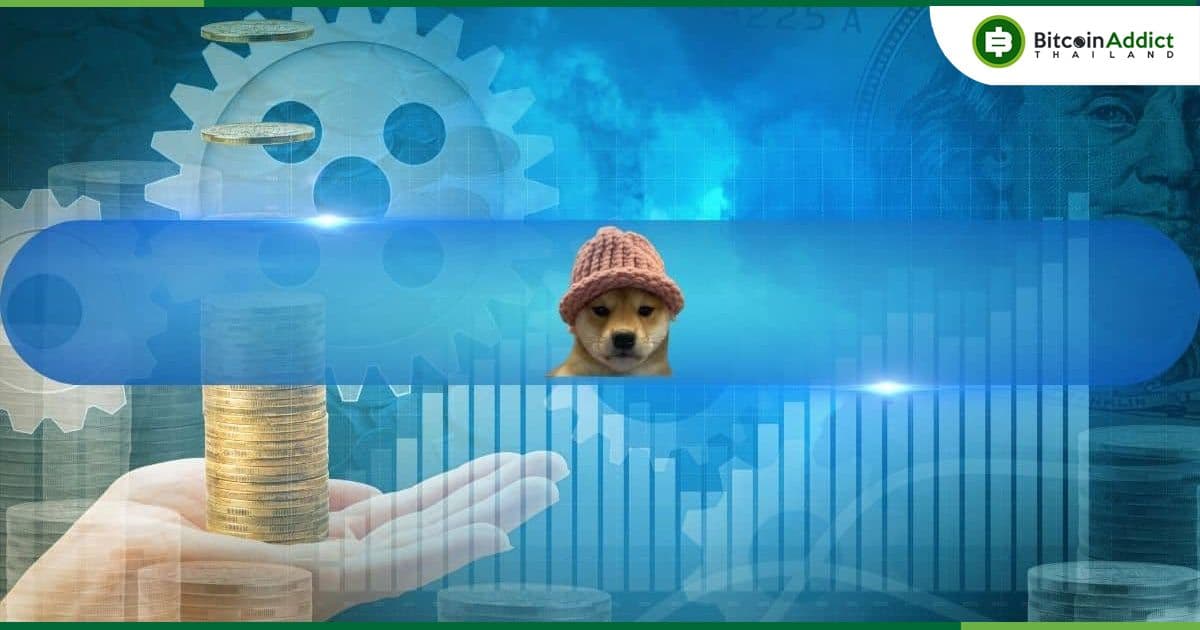 นักเทรด Crypto รายหนึ่ง ซื้อโทเค็น Dogwifhat (WIF) 7.9 ล้านบาท บน Solana และกลายเป็น 59 ล้านบาท ใน 5 วัน