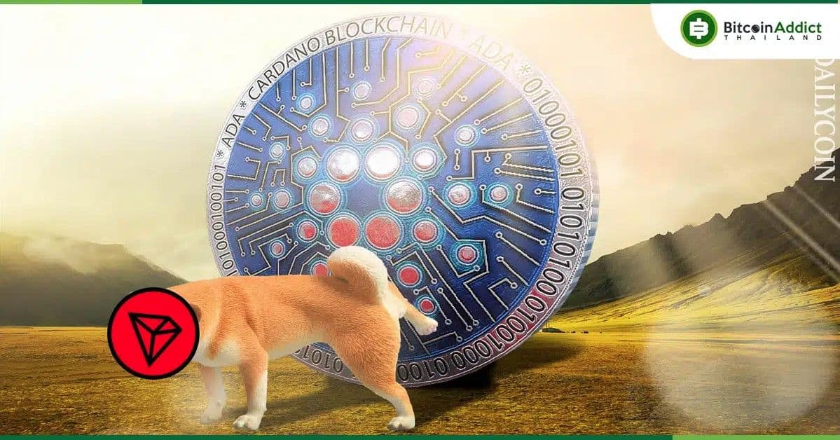 Cardano (ADA) หลุด 10 อันดับแรก บน CoinMarketCap หลังโดน Tron แซง