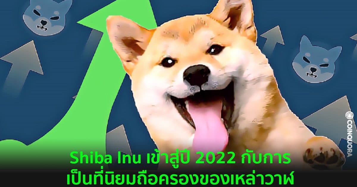 Shiba Inu เข้าสู่ปี 2022 กับการเป็นที่นิยมถือครองของเหล่าวาฬ